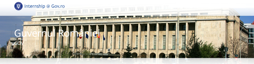 Programului oficial de Internship al Guvernului