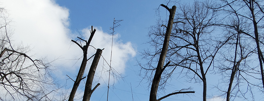 'toaletare' în Drumul Taberei - foto: F. Bălteanu, 2 martie 2015