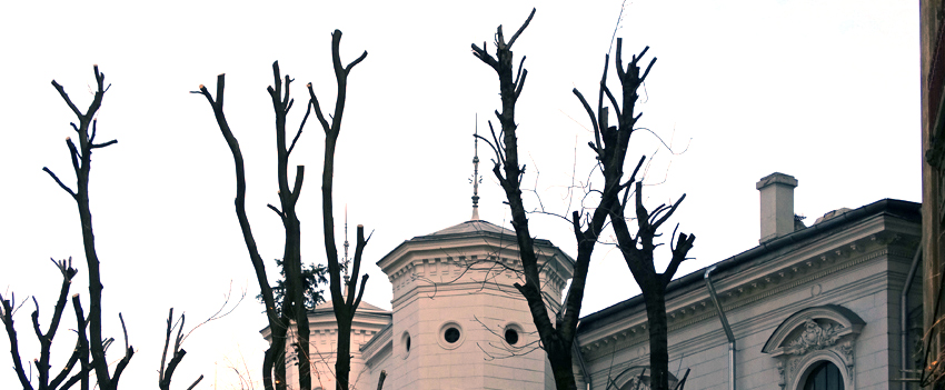 'toaletare' la Muzeul Municipiului București - foto: F. Bălteanu, 2 martie 2015
