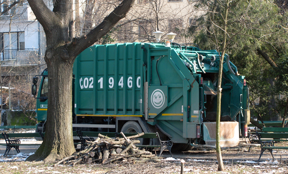 toaletare arbori Cișmigiu - foto: O. Mihalache, 13.02.2015